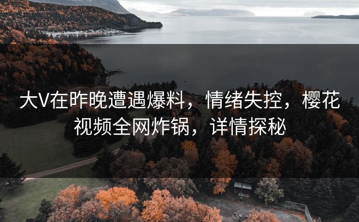 大V在昨晚遭遇爆料,情绪失控,樱花视频全网炸锅,详情探秘